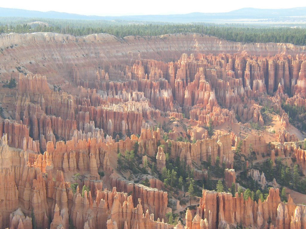 Bryce Canyon USA by valerio.naggi