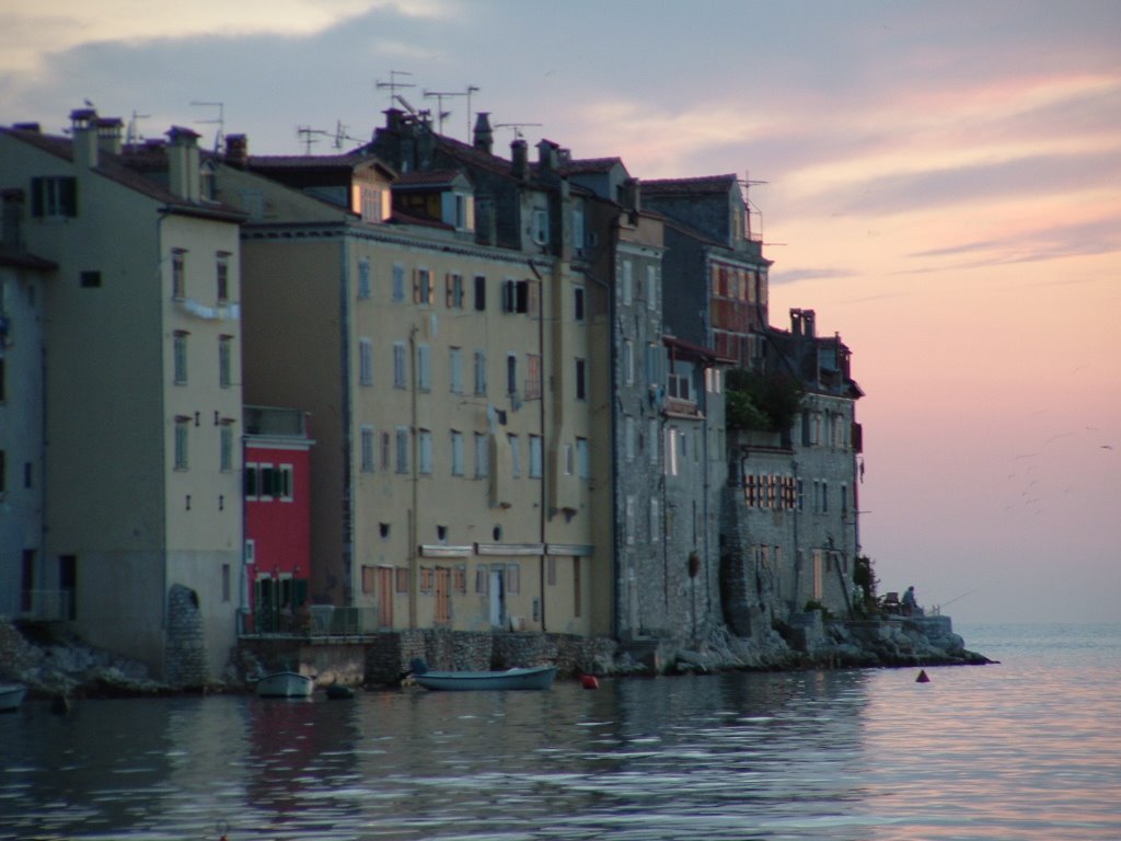 Rovinj Sea Side At Sunset by Dick Putter