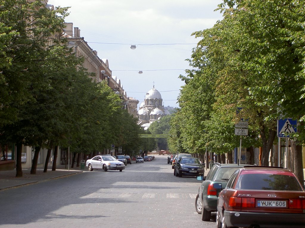 Znamenskaya Russian Orthodox church by petrashussey