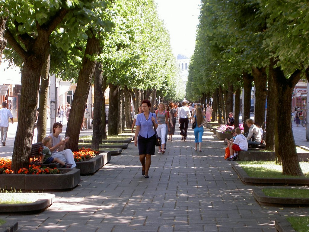 Laives Aleja towards St Michael the Archangel by petrashussey