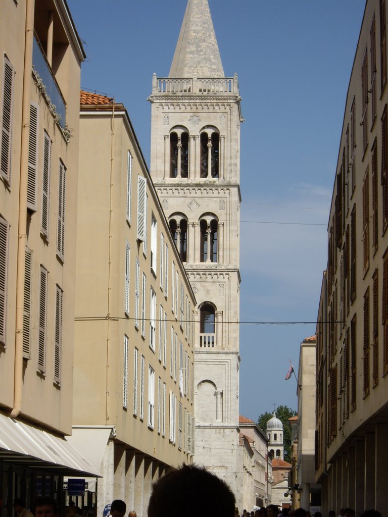 ZADAR CHURCH OF SAINT DONAT by domis