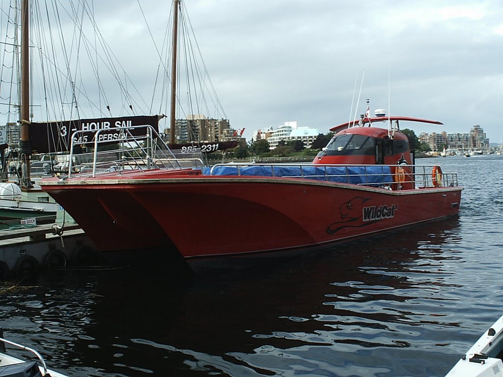 Wildcat Tours boat, Victoria BC by Odonadon