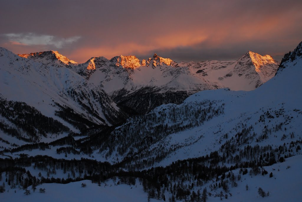 Passo Bernina, Piz Sena by Domino73