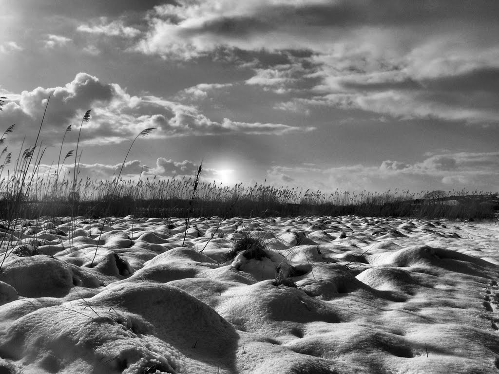 Snow on the marsh by brian lloyd