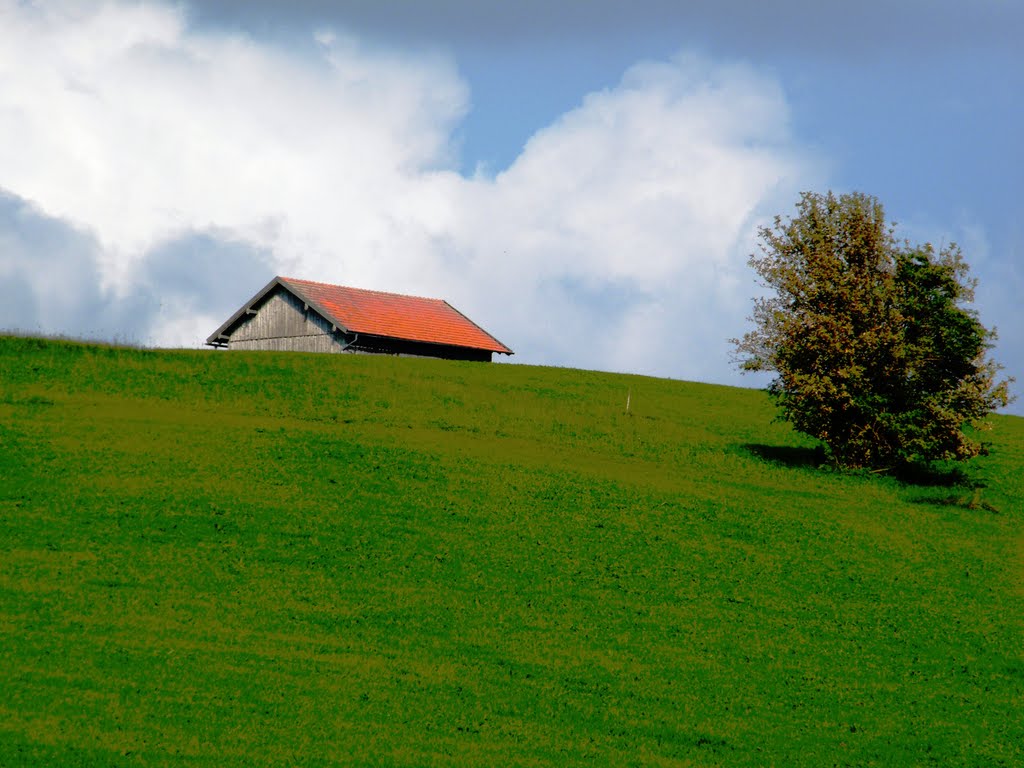 Bavarian barn by Dan Baldini