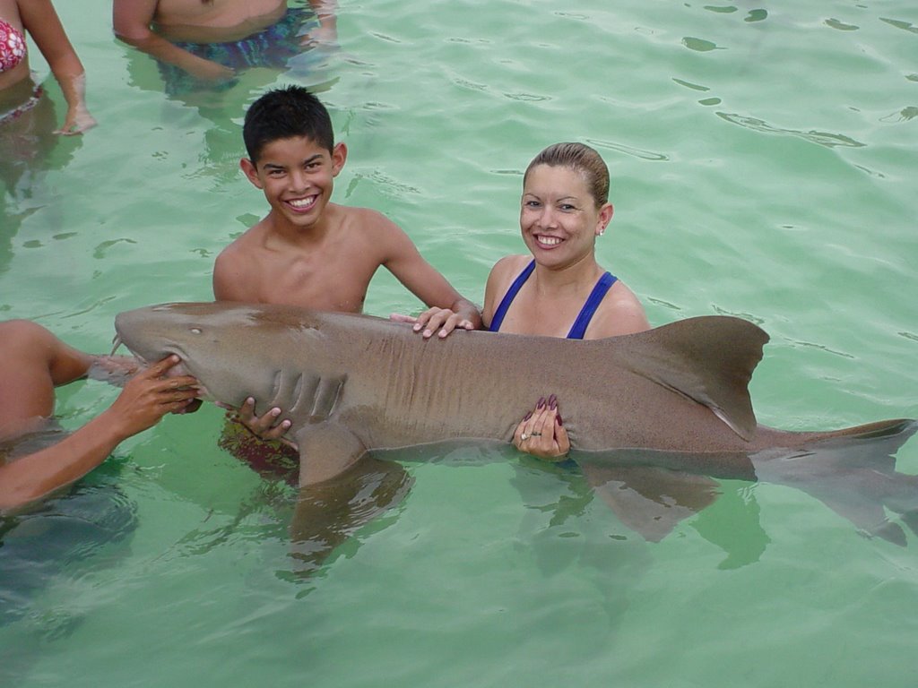 Tiburon en Isla Mujeres by Salvador Arias