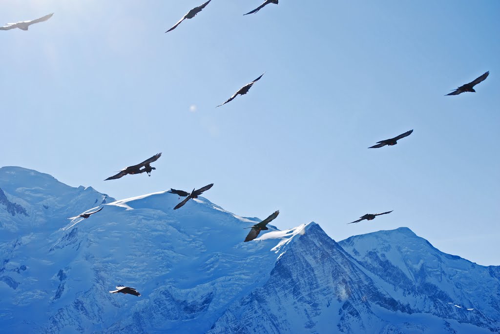 La Patrouille du Brévent by lanthelme