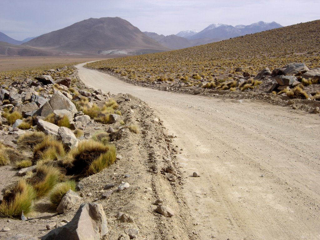 Ruta El Tatio - San Pedro de Atacama (a Paso Vizcacha), II Región, Chile. by André Bonacin