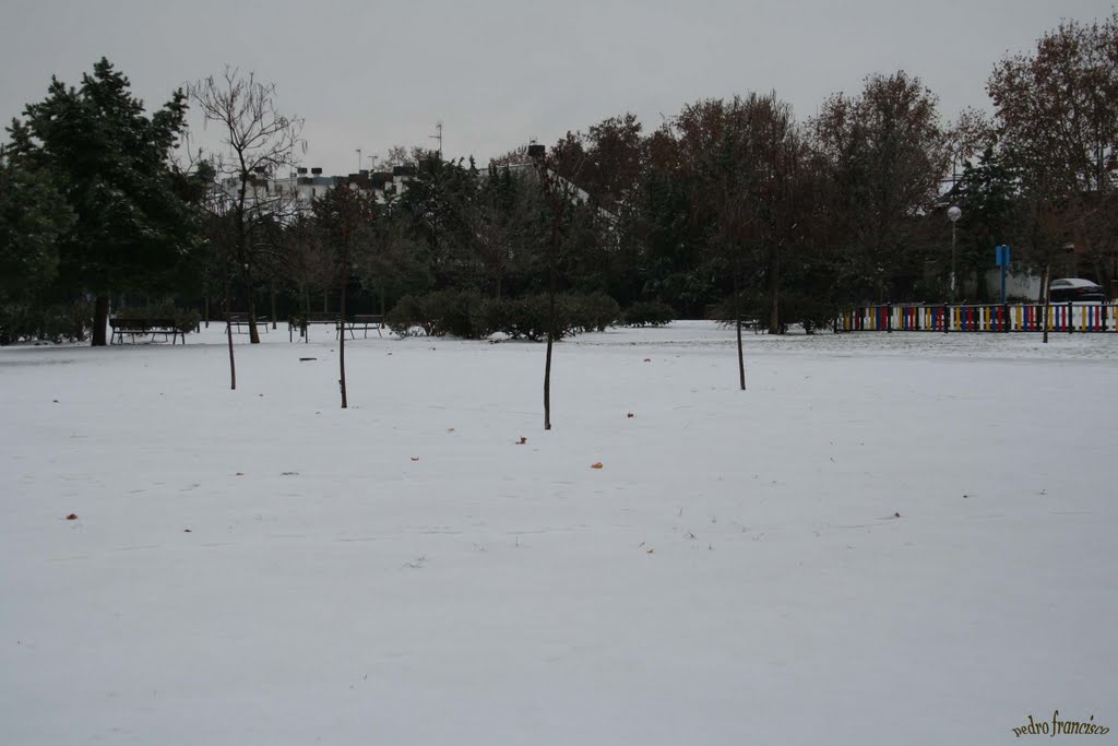 Aravaca-Madrid,NevadaDiciembre 2009,Parque by pefrafra