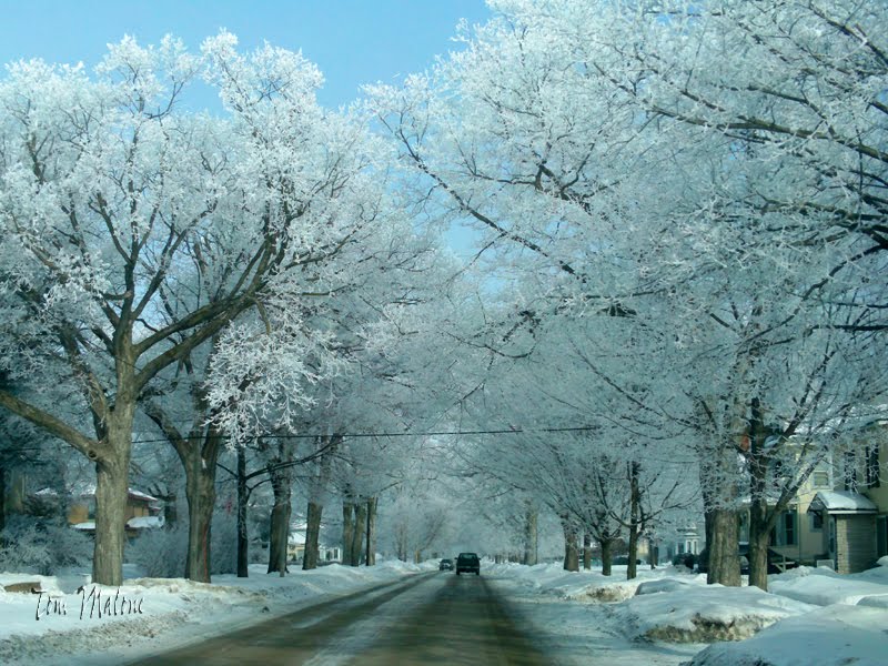 Frosted Street by jeepertom