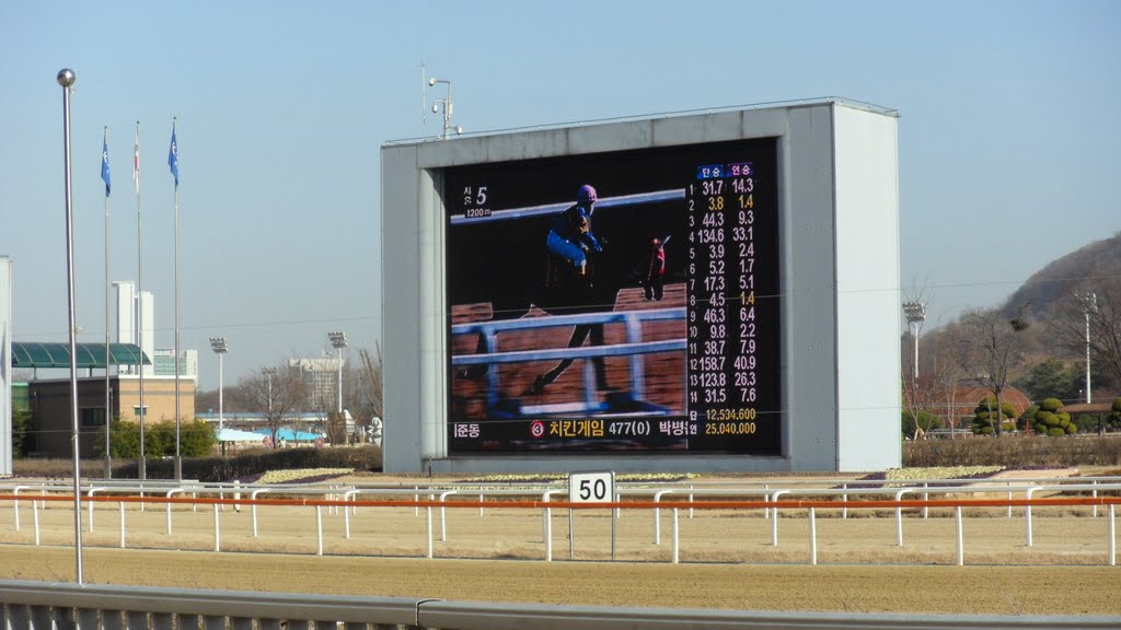 [Streaming Seoul] Seoul Racecourse Park by globalseoulkorea4