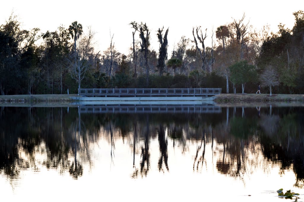 Lake at Celebration Florida by Steven 