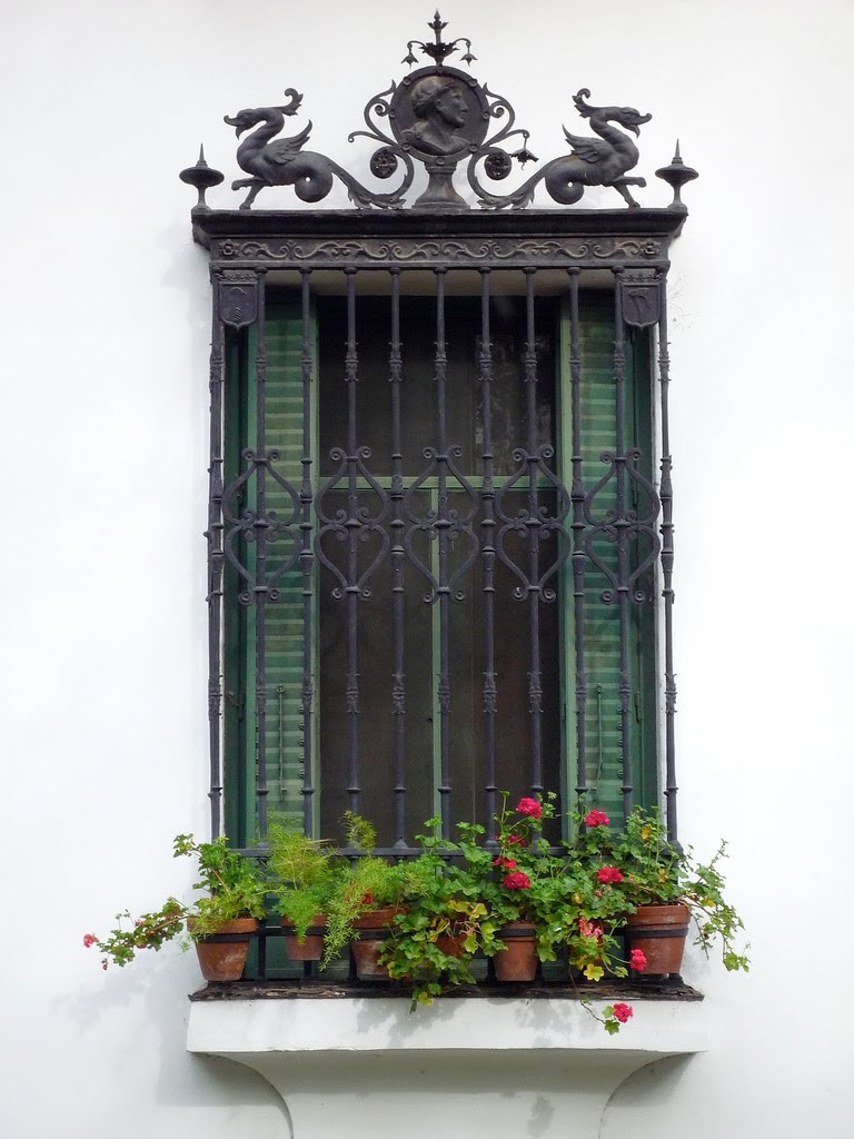 Museo Enrique Larreta: ventana by qepd