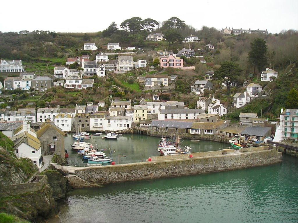 Polperro: Panorama by Eugenio Ferrandi