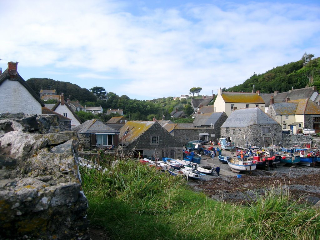 Cadgwith by androo