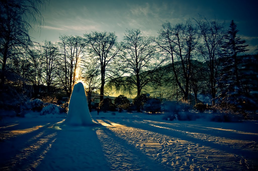 Winter in Nygaardsparken by foto-geir