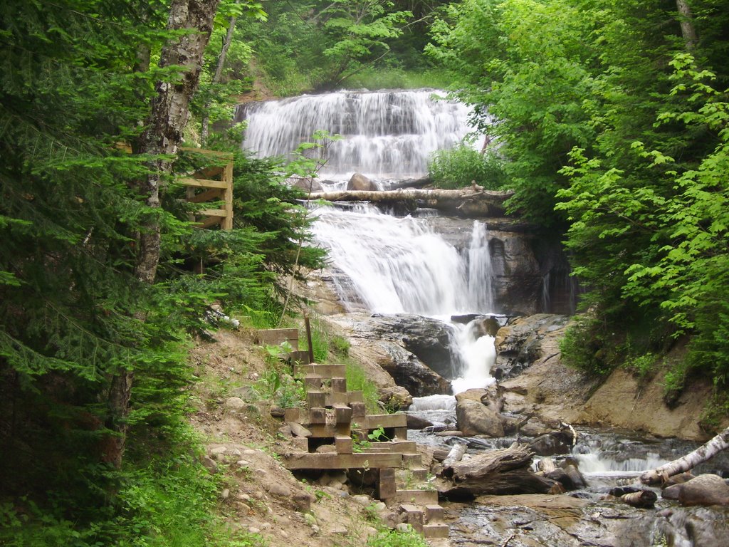 Au Sable Falls by David J. Mitchell