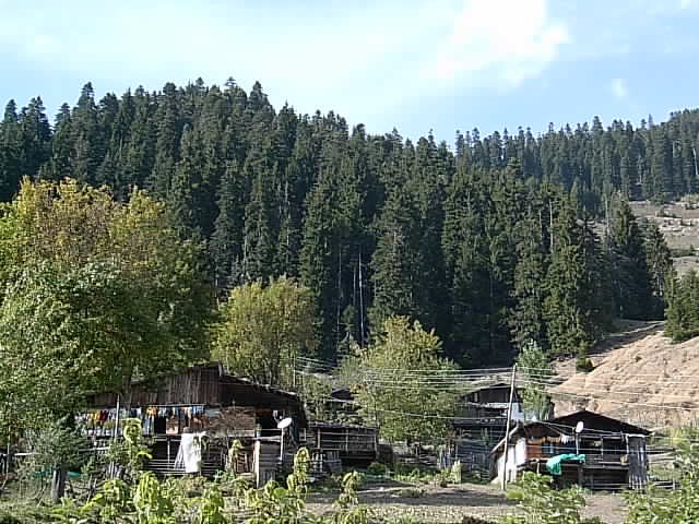 08100 Ortaköy Bucağı/Artvin Merkez/Artvin, Turkey by alacahirka