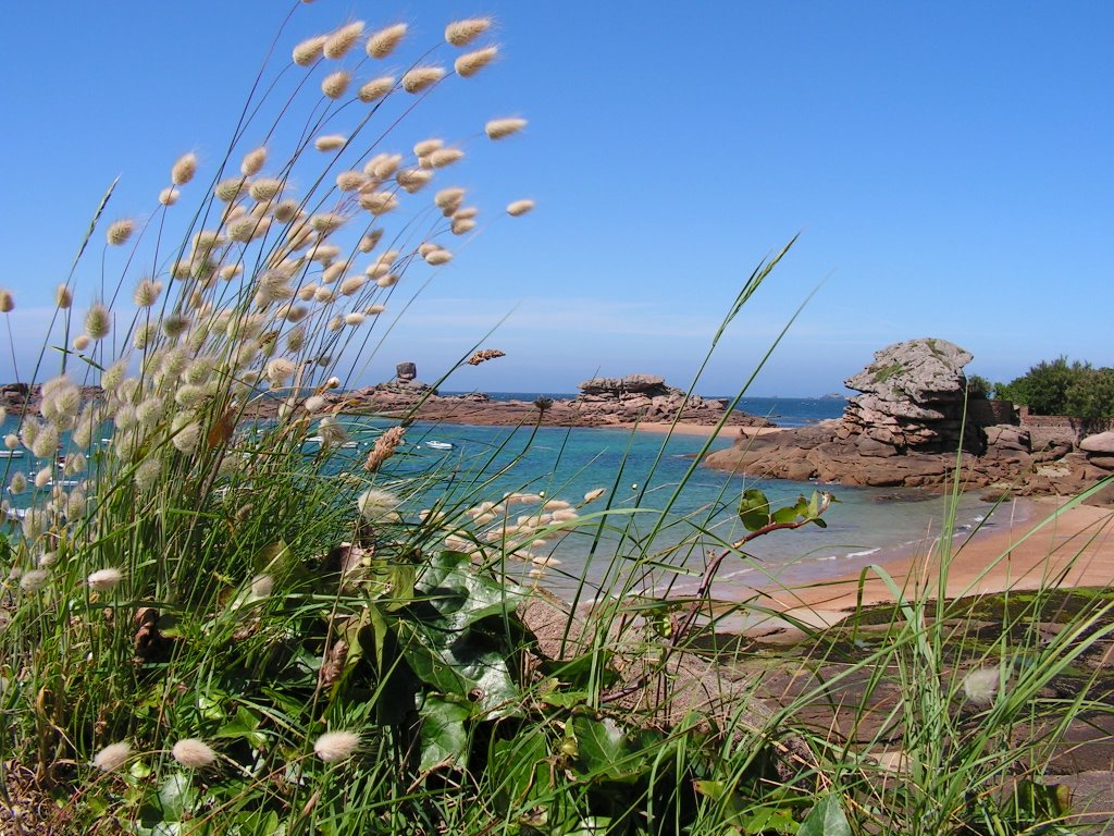 Plage de Coz-Porz (Tregastel) by ptitbouba