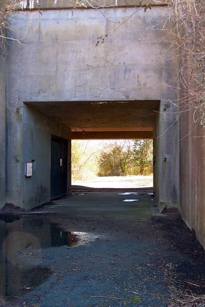 Underground Bunker entrance at Eastern Shore Wildlife Refuge by DoctorBob