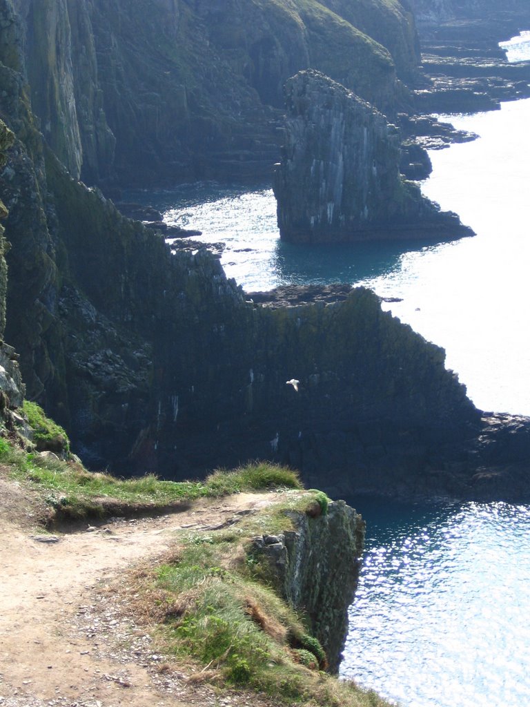 Old head of Kinsale by daniel_n