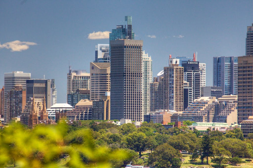 Sydney CBD Towers from Camp Curlew by northbynorthwest