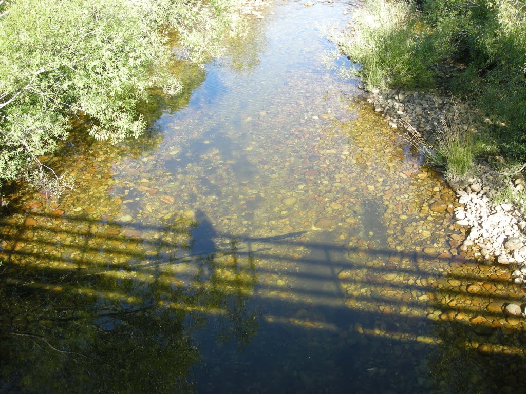 Shadow in the river by gluhwurmchen