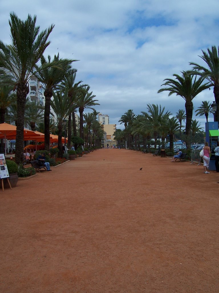 Passeig Mossèn Jacint Verdaguer by Umgucker