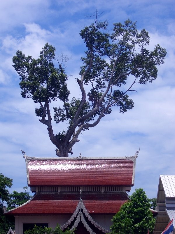 Wat Chedi Luang Area June 2007 by Woga