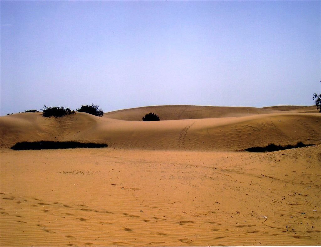 Gran Canaria - Dune di Maspalomas by Giancarlo Ticozzi