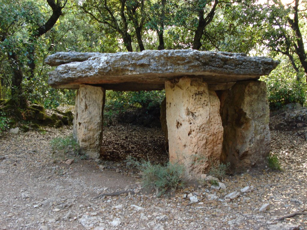 Dolmen (Collet de la Costa, El Brull, Spain) by www.davidrull.com