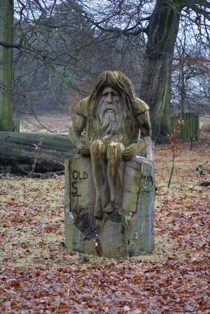 Old Stumpy, woodcarving at Dunham Massey by Bigdutchman