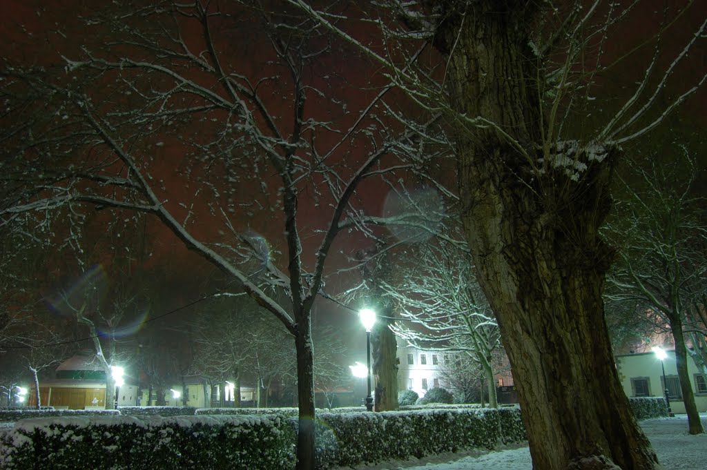 Nieve y las Clarisas by Malaya