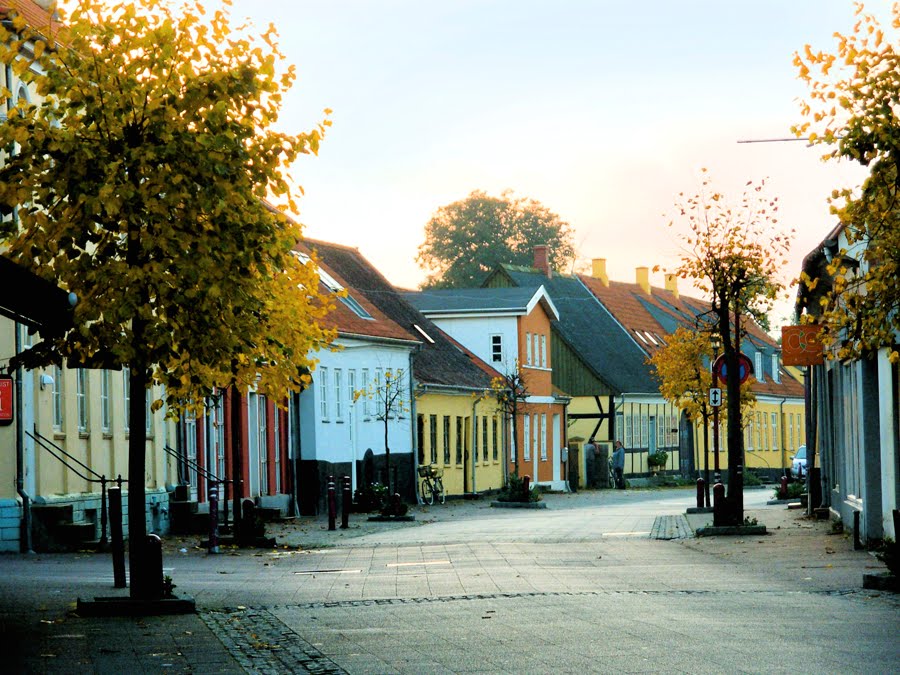 Vestergade by Dorte Hansen