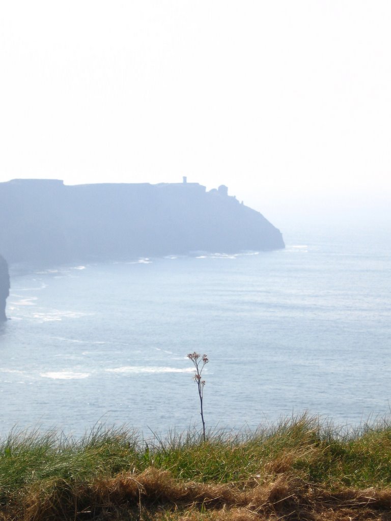 Cliffs of Moher by daniel_n