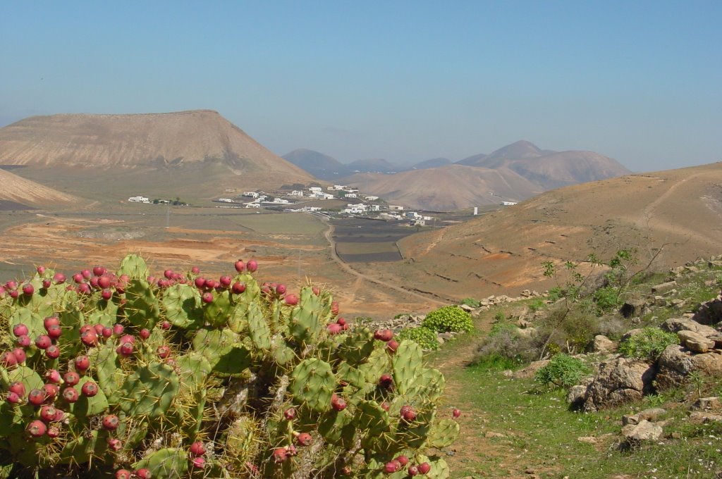 Trail near Casitas de Fermés by Jürgen Möller-Nehrin…