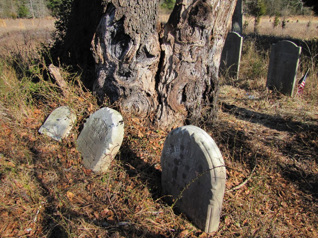 Cedar Swamp Cemetery by Chris Sanfino