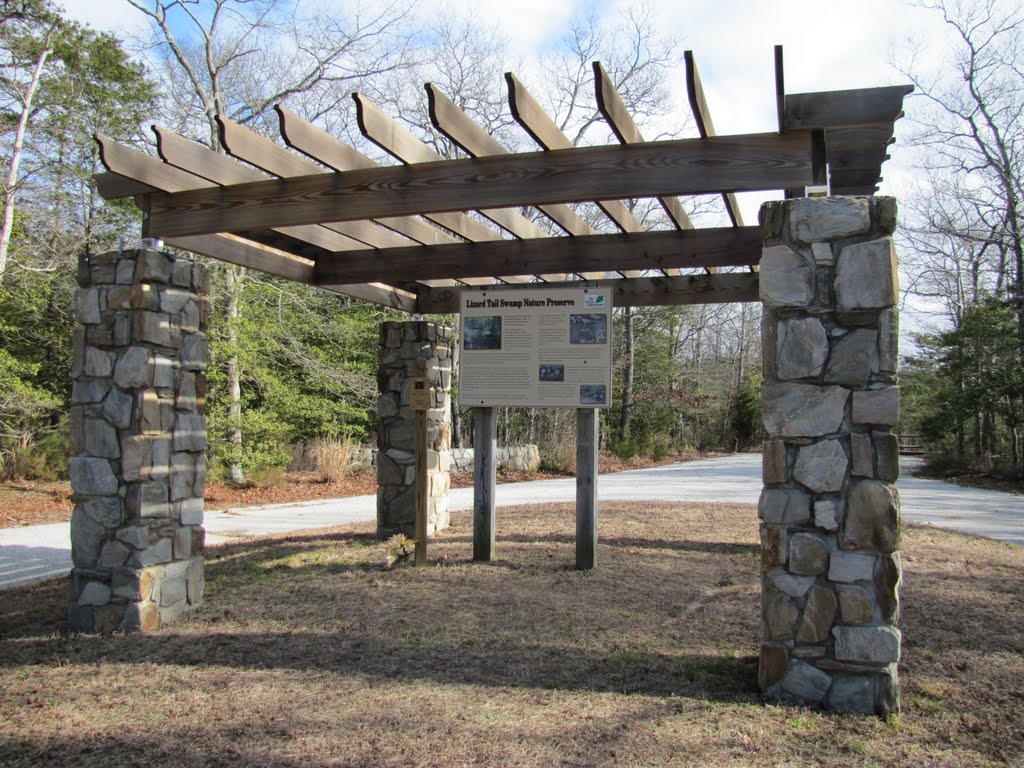 Lizard Tail Swamp Entrance by Chris Sanfino