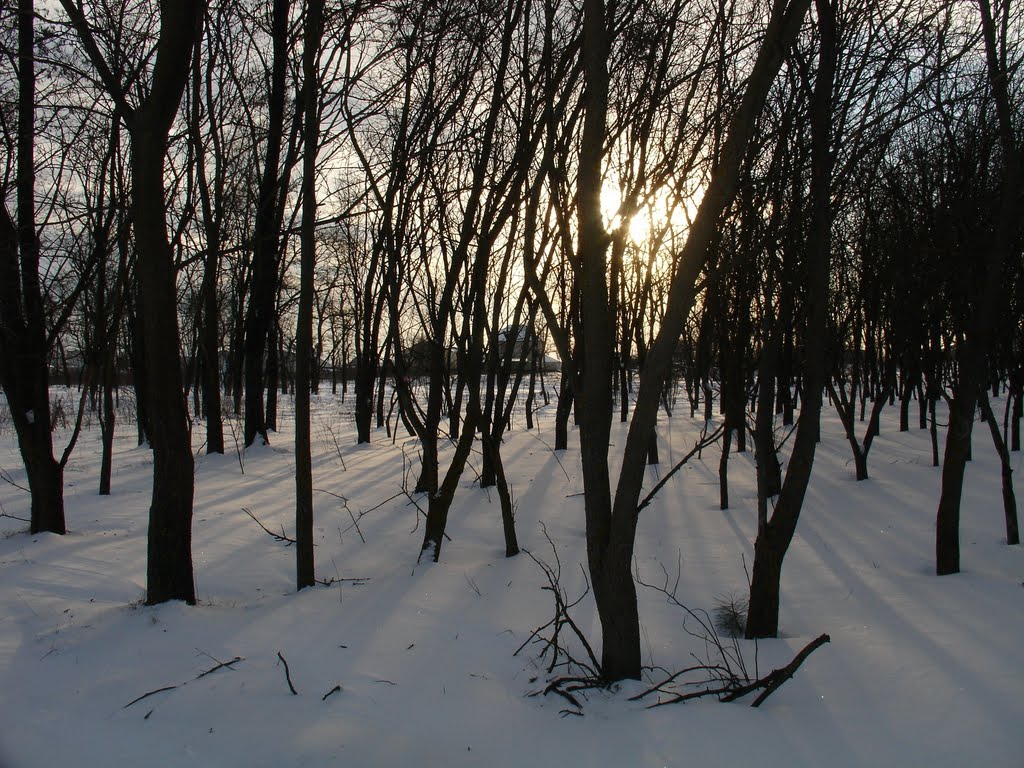 Зимнее Солнце by vkulik