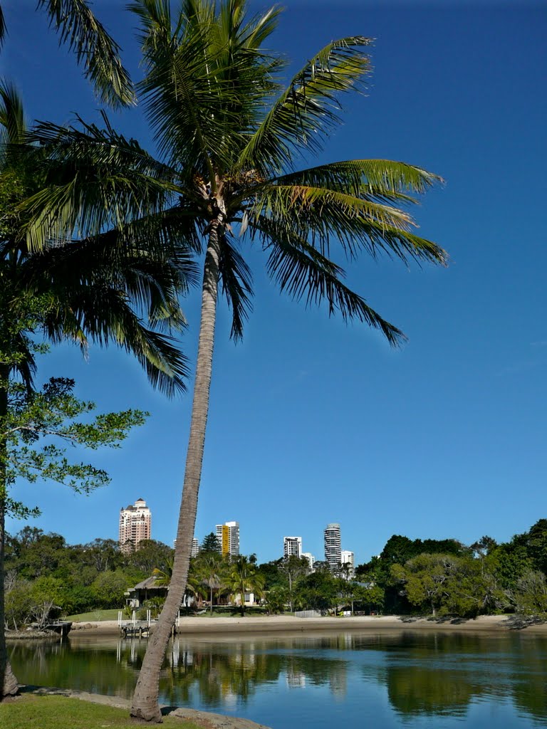 Little Tallebudgera Creek by Peter Sonners