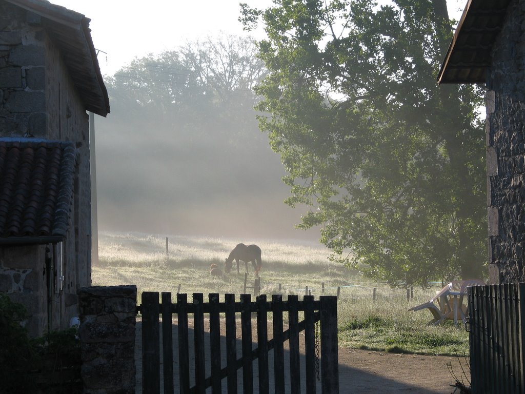 Petit matin by david rochereau