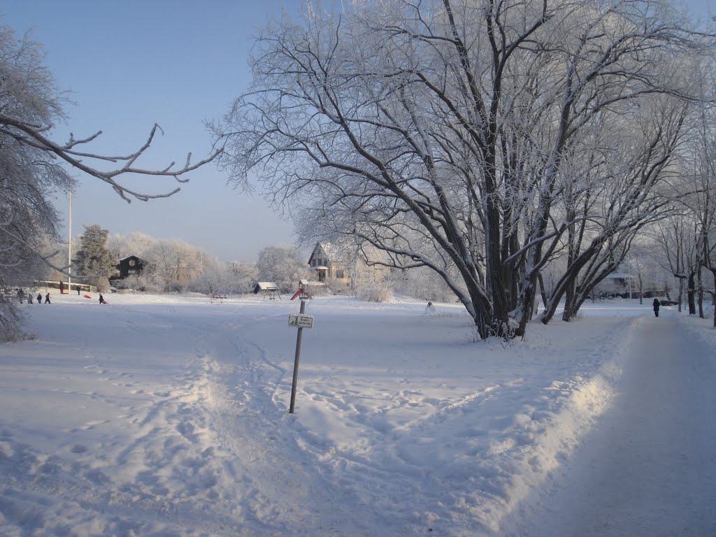 Winter Lillängen by Jsson