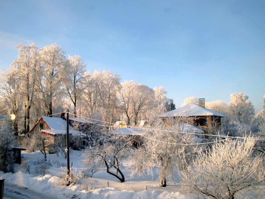 Winter, -26C by ainars brūvelis