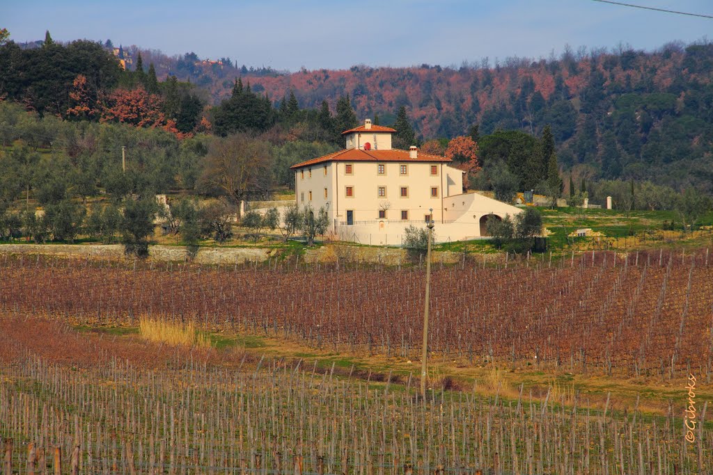 Casolari e vigne.3 by ©Gibroks