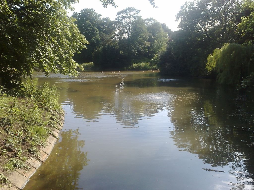 Birkenhead Park Lake by Bishbash