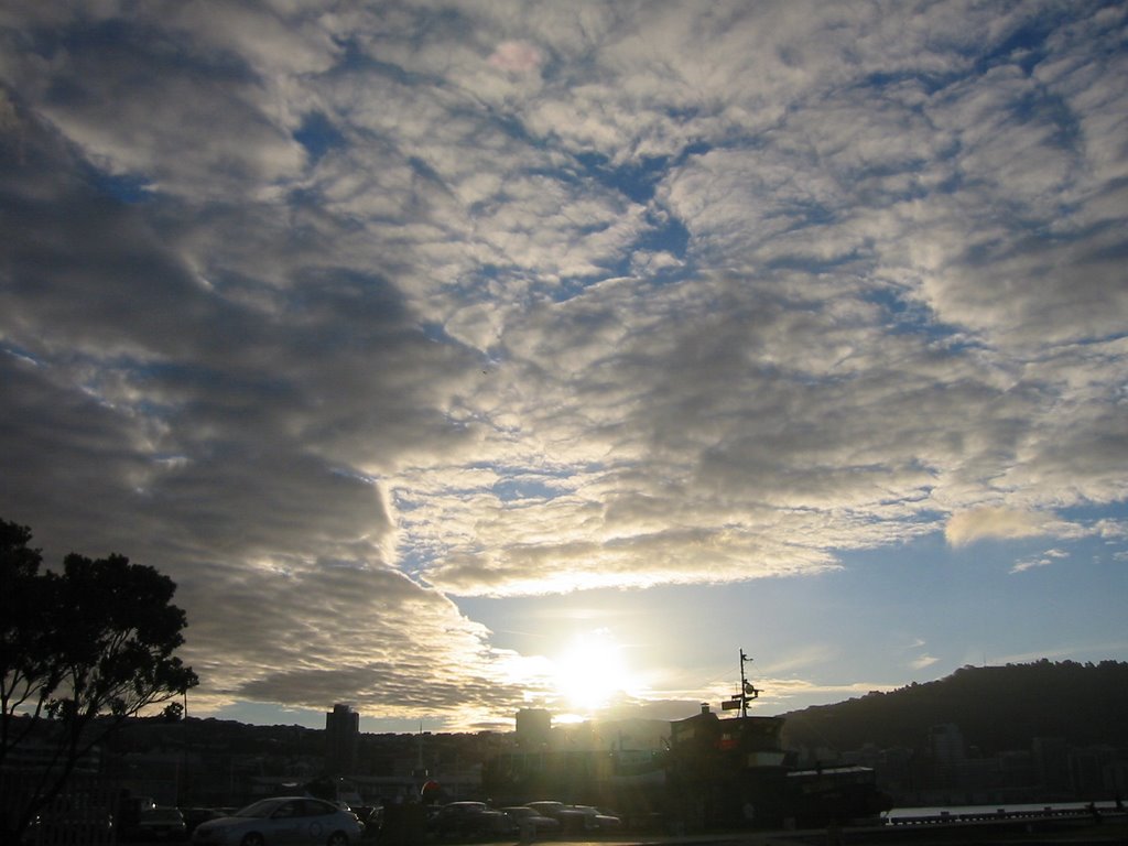 Oriental Bay, Wellington by KiwiBlue