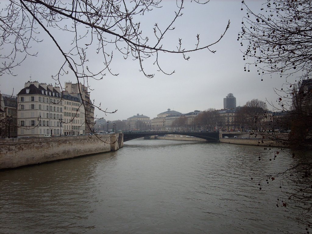 La Seine et le Pont d'Arcole by cotty.cat