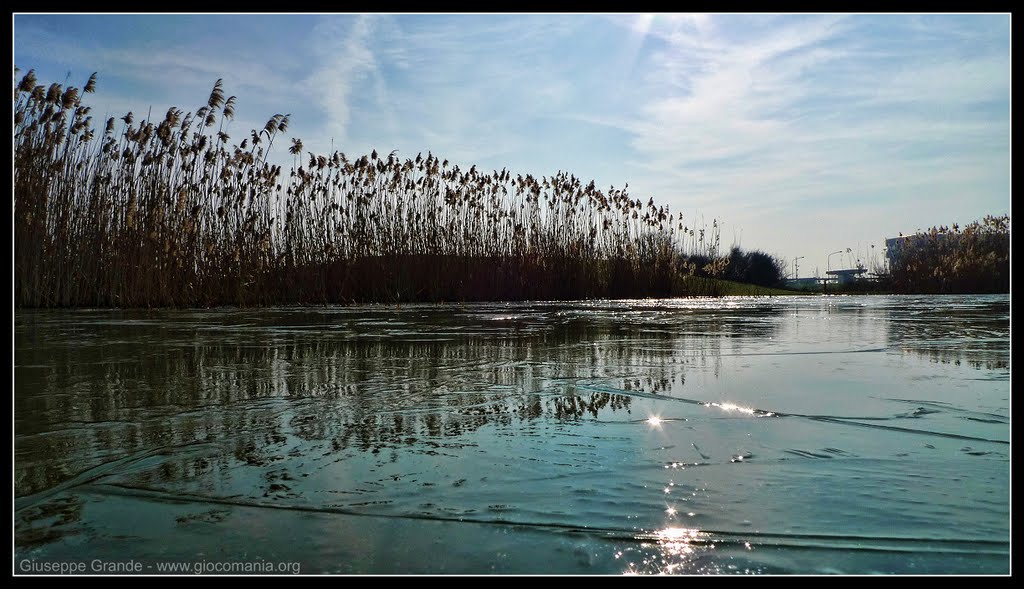 Stagno ghiacciato by Giuseppe Grande