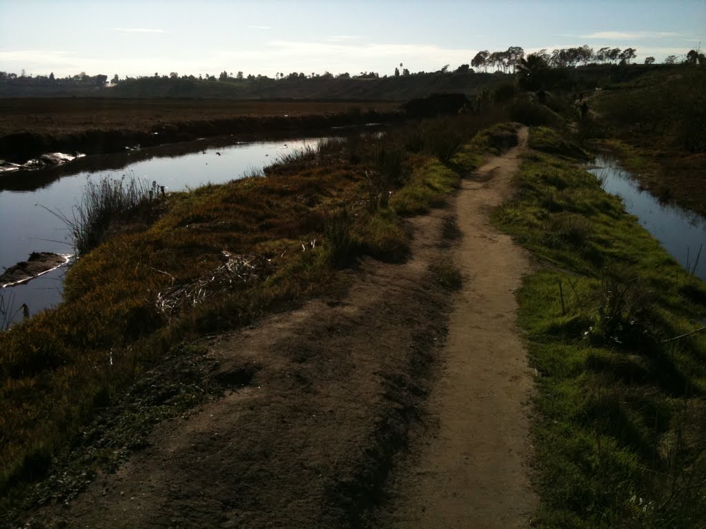 Upper Newport Bay ecological preserve by ponzu