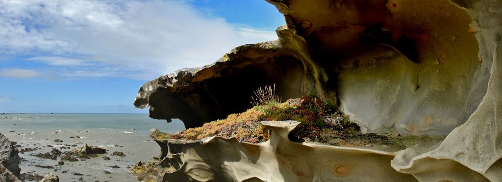 A northerly view from honeycomb rock by Perry Anderson